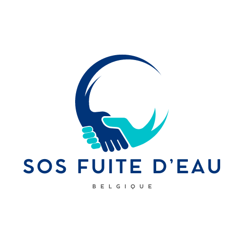 SOS Fuite D'eau: Des Solutions Expertes pour Vos Besoins en Plomberie